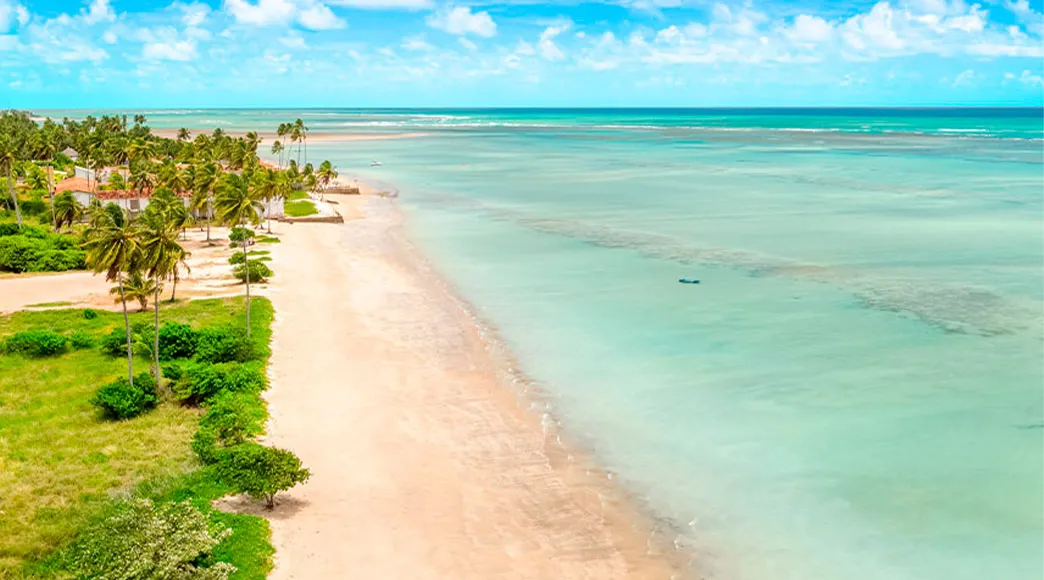 Praia de Ponta de Mangue Vista aérea da Praia de Ponta de Mangue, mostrando sua extensa faixa de areia clara, a orla repleta de coqueiros e pousadas, e o mar calmo e raso da maré baixa, com águas em tons de verde e azul.