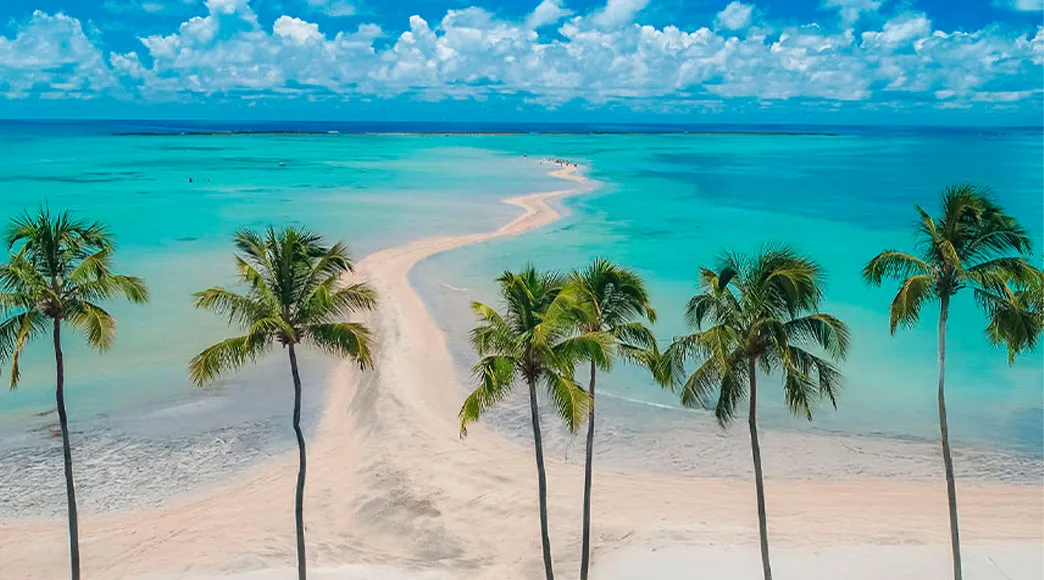 Caminho de Moisés na Praia de Barra Grande Vista aérea da Praia de Barra Grande na maré baixa, destacando o famoso Caminho de Moisés, um banco de areia que se estende pelo mar de cor azul-turquesa. Em primeiro plano, uma fileira de coqueiros altos se ergue na areia da praia.