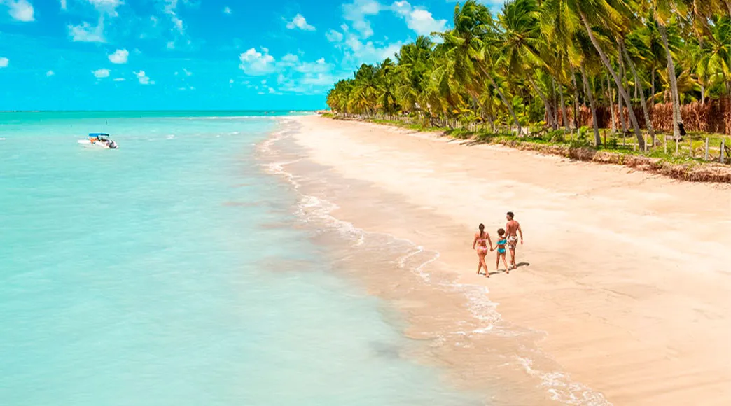 Família caminhando na Praia de Xaréu Vista aérea da Praia de Xaréu mostrando uma família caminhando na faixa de areia, que é ladeada por um denso coqueiral à direita e pelo mar calmo de cor azul-turquesa claro à esquerda, sob um céu azul com nuvens.