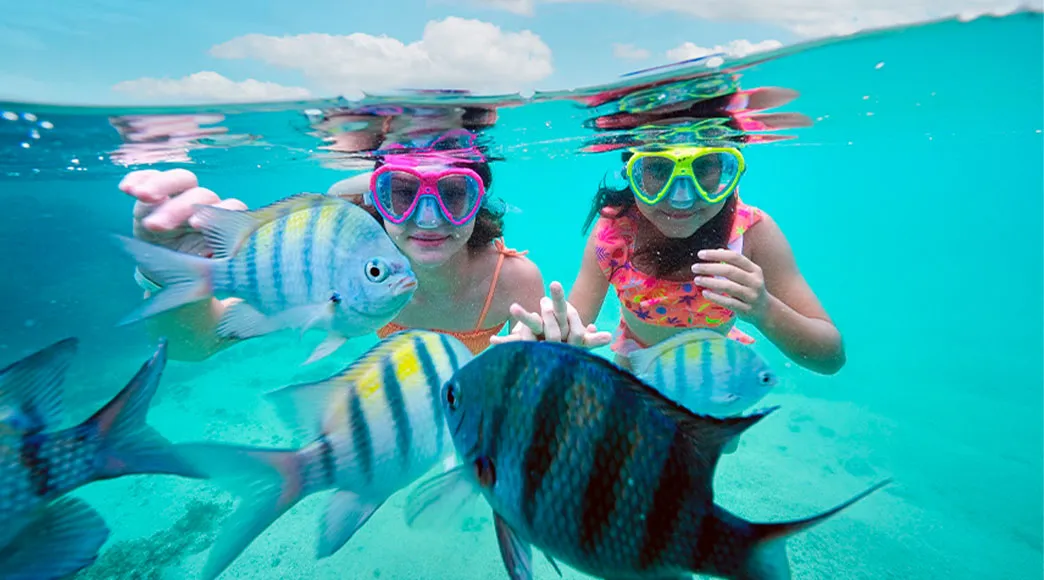 Crianças mergulhando nas piscinas naturais Duas meninas usando máscaras de snorkel mergulham em piscinas naturais de água cristalina e interagem com vários peixes sargentinho listrados que nadam ao seu redor, com a câmera posicionada metade dentro e metade fora da água.