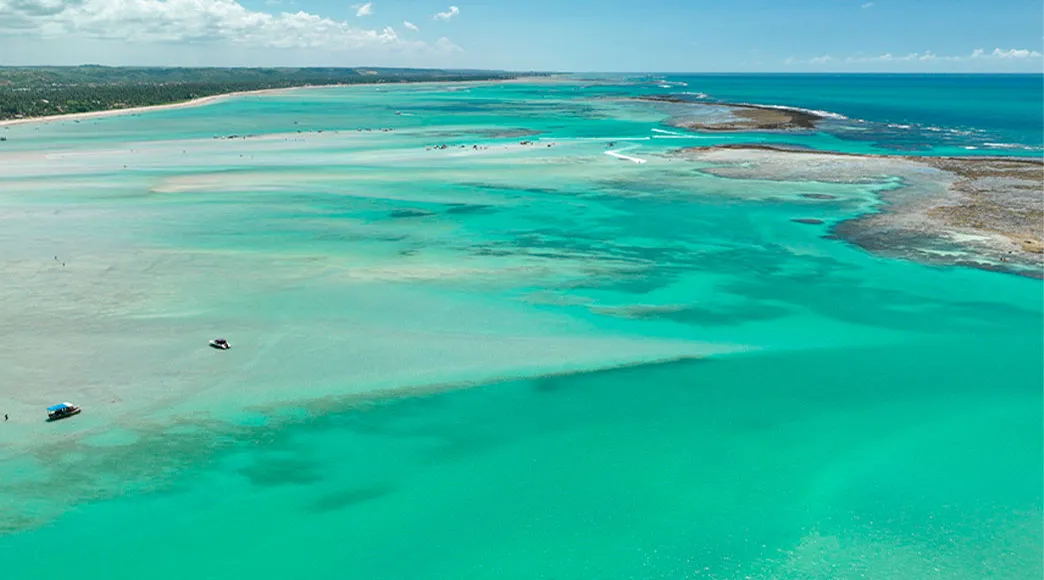 Vista aérea da Praia de Xaréu Ampla vista aérea da Praia de Xaréu na maré baixa, mostrando a imensidão das piscinas naturais com a água em vários tons de azul-turquesa e verde, revelando bancos de areia e recifes, com a faixa de coqueiros da orla ao fundo.