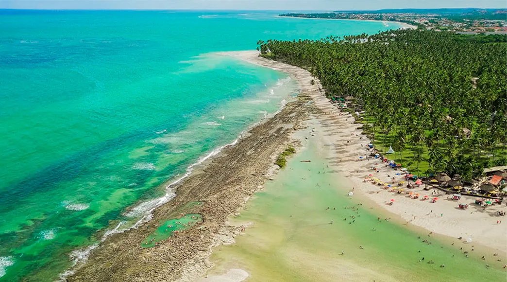 Piscinas Naturais da Praia dos Carneiros Vista aérea da Praia dos Carneiros na maré baixa, mostrando a barreira de recifes que forma piscinas naturais. A faixa de areia está movimentada com banhistas e guarda-sóis, e é ladeada por um denso coqueiral.