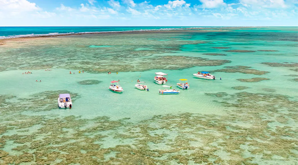Piscinas Naturais de Ponta de Mangue Vista aérea das piscinas naturais de Ponta de Mangue, com vários barcos de turismo ancorados entre os recifes de corais. Pessoas aproveitam a água rasa e cristalina de cor esverdeada em um dia de sol.