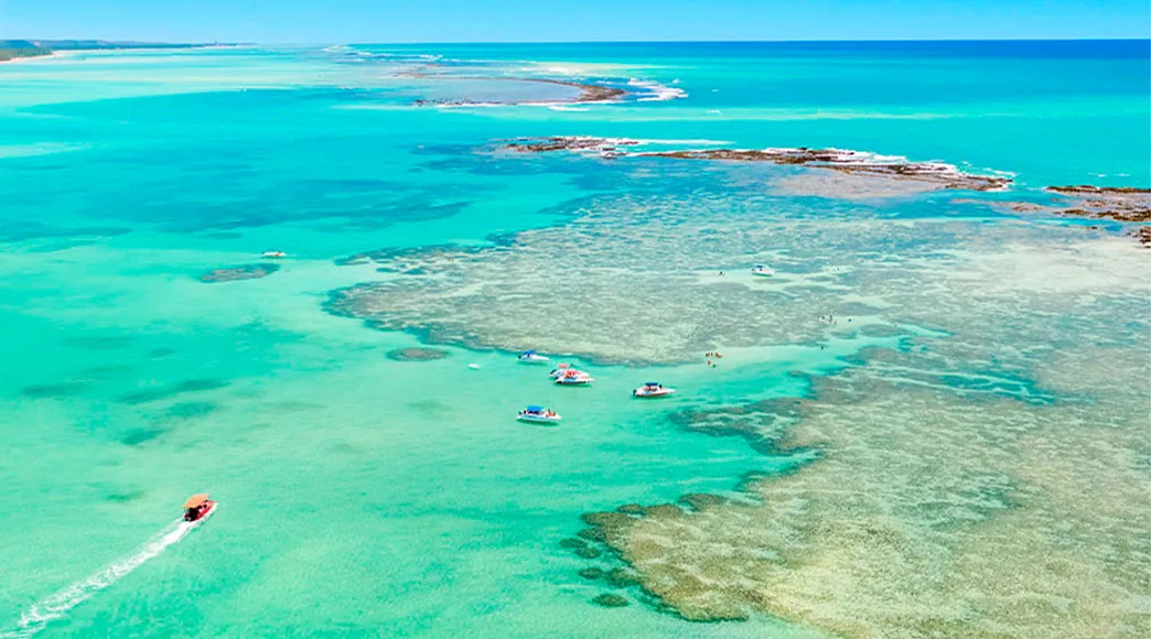 Piscinas Naturais de Barra Grande Vista aérea das piscinas naturais de Barra Grande, com vários barcos de turismo ancorados próximos aos recifes de corais. Turistas aproveitam a água rasa e cristalina, que tem tons de verde e azul-turquesa, com a orla da praia ao fundo.