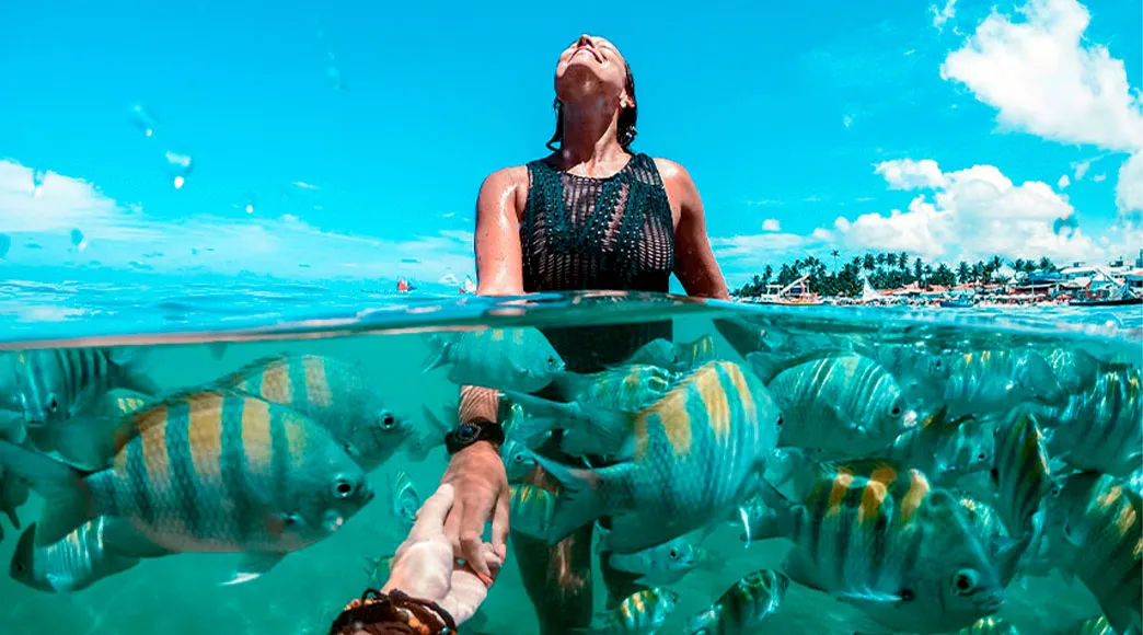 Mergulho com peixes em Porto de Galinhas Foto com visão dividida acima e abaixo d'água. Na parte de cima, uma mulher aproveita o sol. Na parte de baixo, um grande cardume de peixes sargentinho nada ao redor de uma mão estendida na água cristalina.