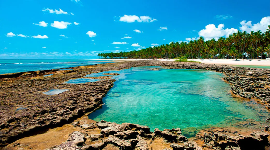 Piscinas Naturais da Praia dos Carneiros Piscina natural de água cristalina formada entre os recifes escuros da Praia dos Carneiros na maré baixa. Ao fundo, a praia de areia branca é emoldurada por um extenso coqueiral sob um céu azul.