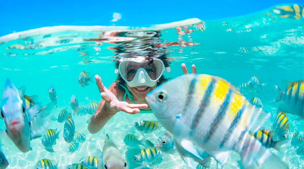 Mergulho com peixes em Barra Grande Mulher com máscara de snorkel sorri debaixo d'água, cercada por um grande cardume de peixes sargentinho listrados, em uma piscina natural de água cristalina com fundo de areia visível.