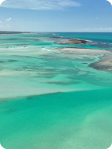 Férias completas em contato com a natureza entre corais, areia branca e o mar com tons de azul Praia
