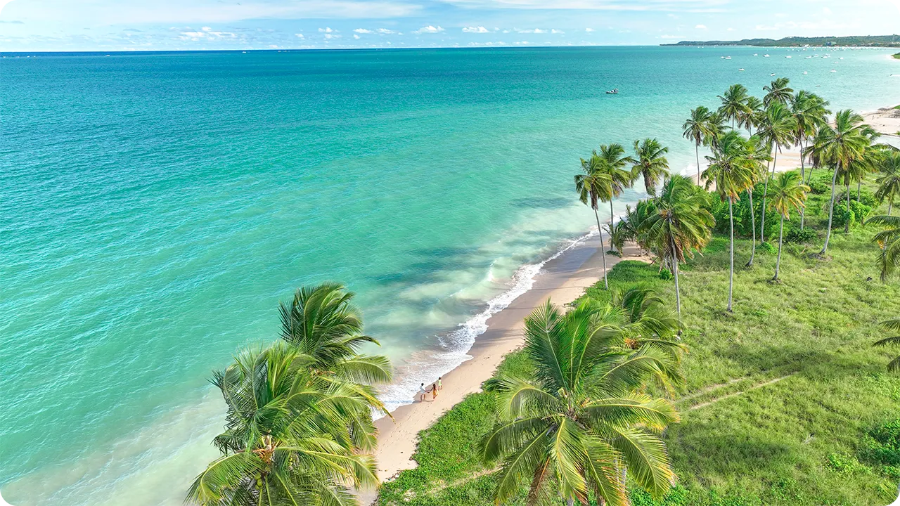 Playa en la Ruta Ecológica de los Milagros Vista aérea de una playa en Alagoas, que muestra el mar verde esmeralda, la arena clara y un extenso cocotal. Dos personas caminan solas por la playa, realzando la atmósfera de paz y naturaleza virgen.