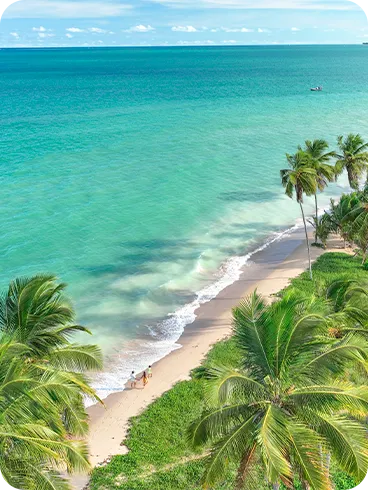 Playa en la Ruta Ecológica de los Milagros Vista aérea de una playa en Alagoas, que muestra el mar verde esmeralda, la arena clara y un extenso cocotal. Dos personas caminan solas por la playa, realzando la atmósfera de paz y naturaleza virgen.