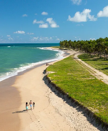 contato salinas Família caminha sobre areia branca à beira-mar da praia do Gunga, em Alagoas.