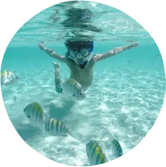 Descubra o fundo do mar sem sair do resort na praia Uma criança praticando snorkel em mar cristalino cercada por peixes tropicais coloridos, com fundo de areia iluminado pelo sol e superfície visível acima.