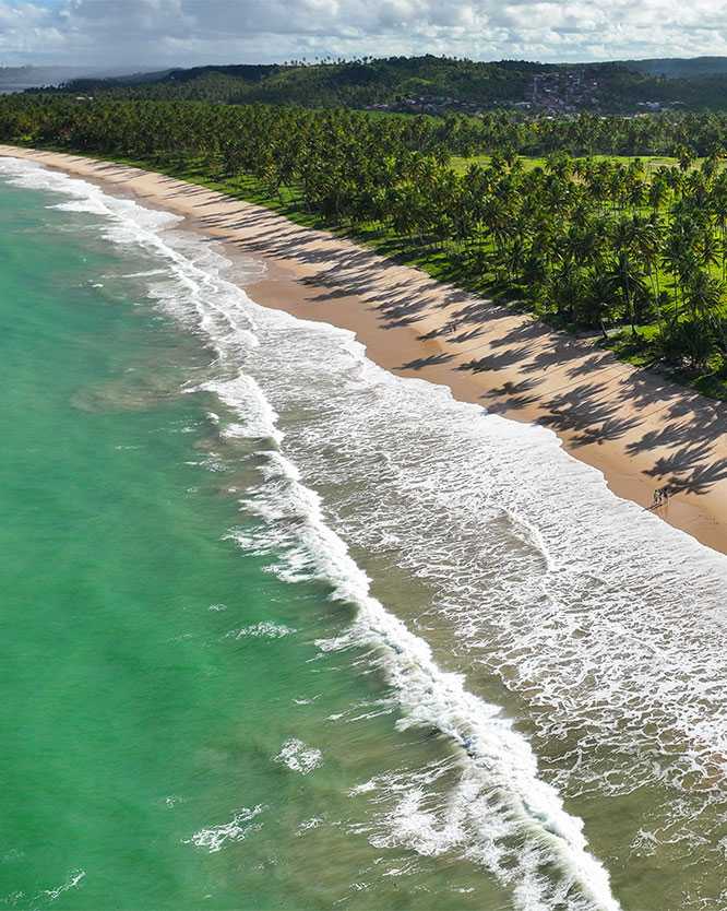 melhores praias de alagoas Vista aérea da Praia do Gunga. A imagem mostra a faixa de areia em formato de ponta com o encontro do mar e rio, vários coqueiros ao longo da praia, e a barreira de arrecifes no mar. Ao fundo, a área urbana sob um céu azul com nuvens brancas.
