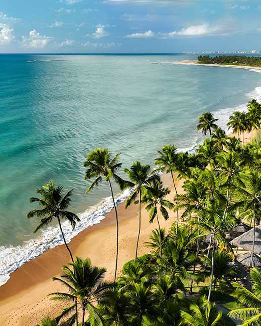 Vista aérea da Praia de Ipioca, onde está localizado o resort All Inclusive Salinas Maceió.