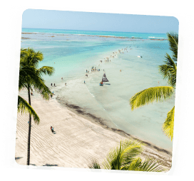 Vista aérea da passarela natural de areia cercada pelo mar cristalino em uma das praias de Maceió, com palmeiras em destaque