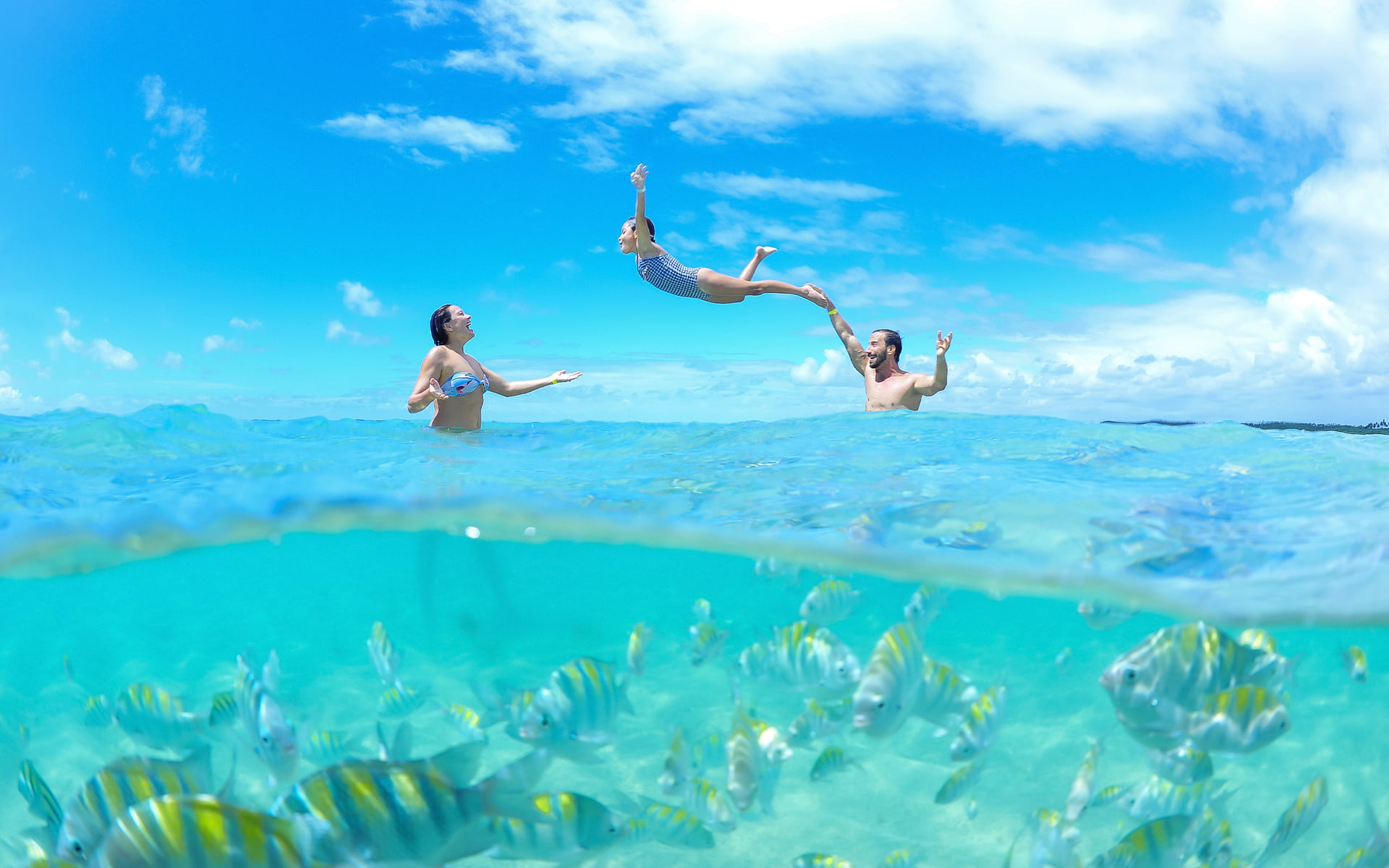 Piscinas naturais de Paripueira Família se divertindo nas piscinas naturais de Paripueira. Com foto meia submersa, na parte inferior está abaixo d'água com peixinhos e acima, o pai jogando a filha pra cima em direção a mãe com dia ensolarado.