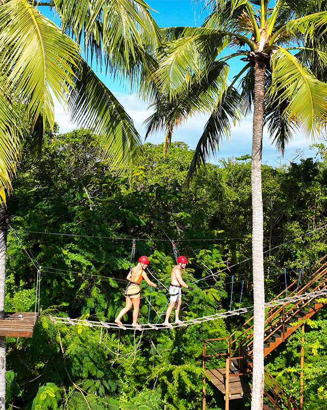 casal arvorismo lazer coqueiros Um casal, com capacetes, atravessando uma ponte suspensa de arvorismo. Elas estão no alto, em meio a coqueiros, dentro de uma floresta tropical verde, océu está azul com poucas nuvens.