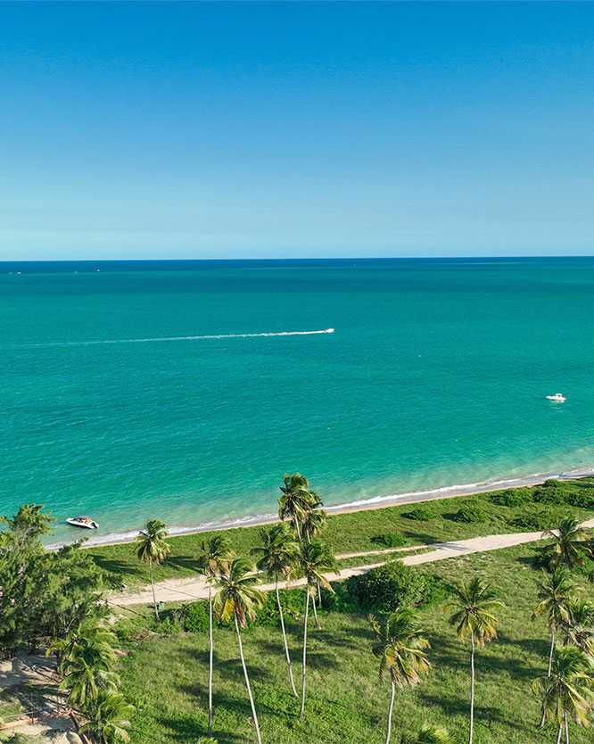 vista aerea praia burgalhau maragogi coqueiros Vista aérea de uma praia de Burgalhau, com a orla repleta de coqueiros e vegetação verde. O mar apresenta uma tonalidade azul-turquesa vibrante e calma, com algumas pequenas embarcações à distância sob um céu azul claro.