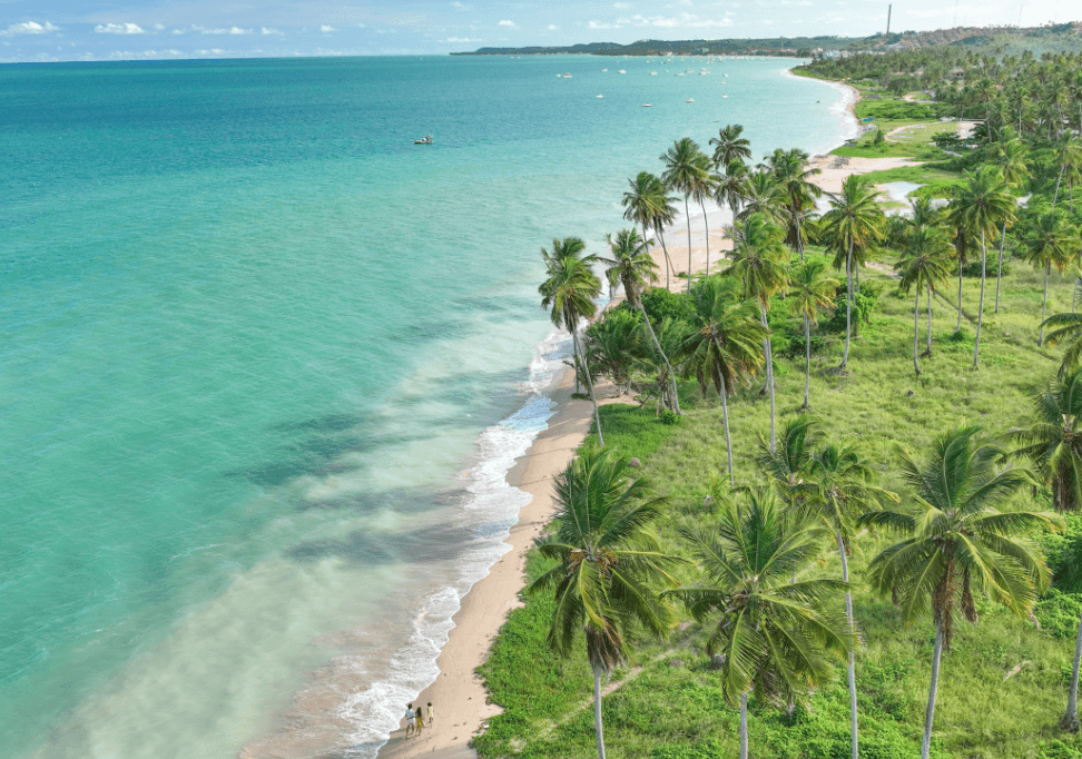 Vista aérea de uma praia tropical com coqueiros e mar azul-turquesa ao longo da costa em Barra Grande