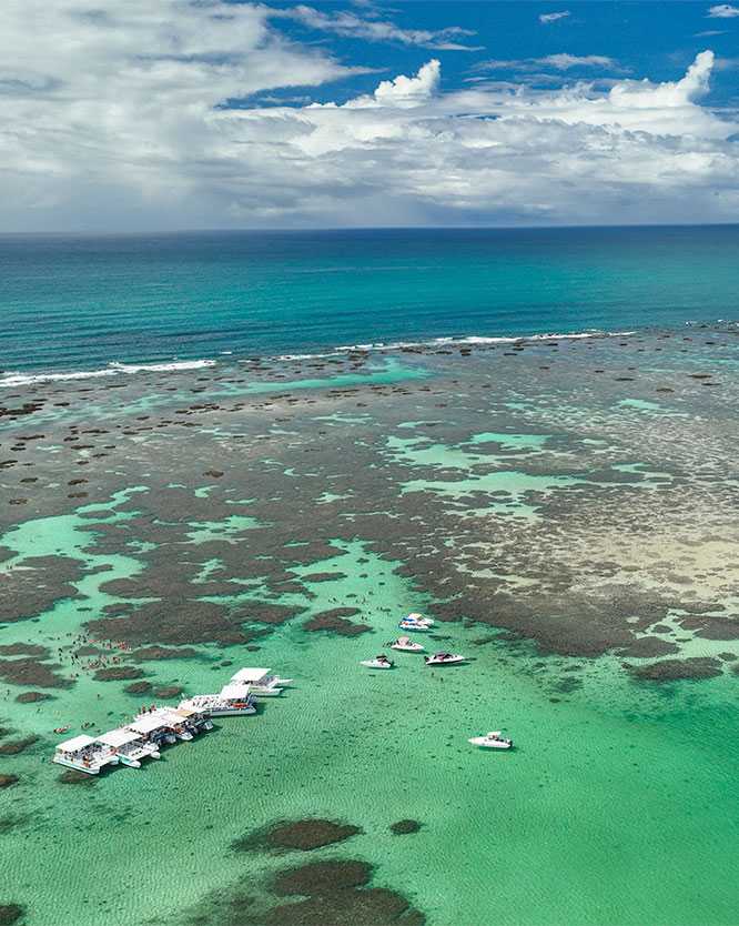 piscinas naturais gales maragogi Vista aérea das Galés de Maragogi, as famosas piscinas naturais, com seus recifes de corais formando águas rasas e cristalinas de cor turquesa em alto mar, com vários barcos e turistas no local sob um céu azul.